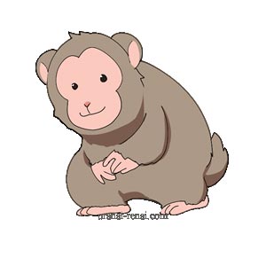 15種動物キャラ占い【サル】｜無料性格・仕事・恋愛・相性診断