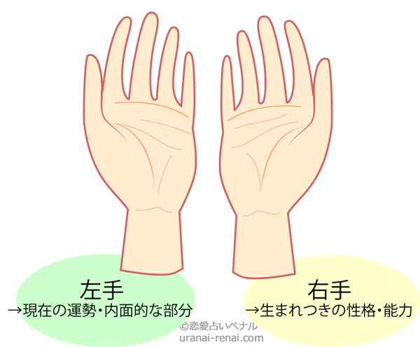 現代の髪型 ラブリー手相 の 見方 右手 左手